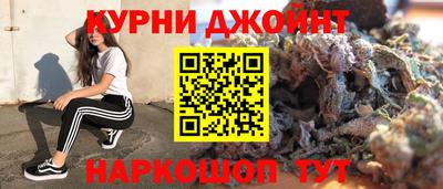 мдпв Гай