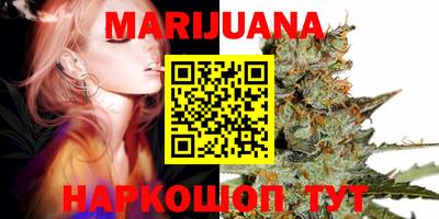 мдпв Гай