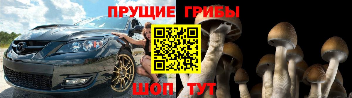 Галлюциногенные грибы ЛСД Кизляр