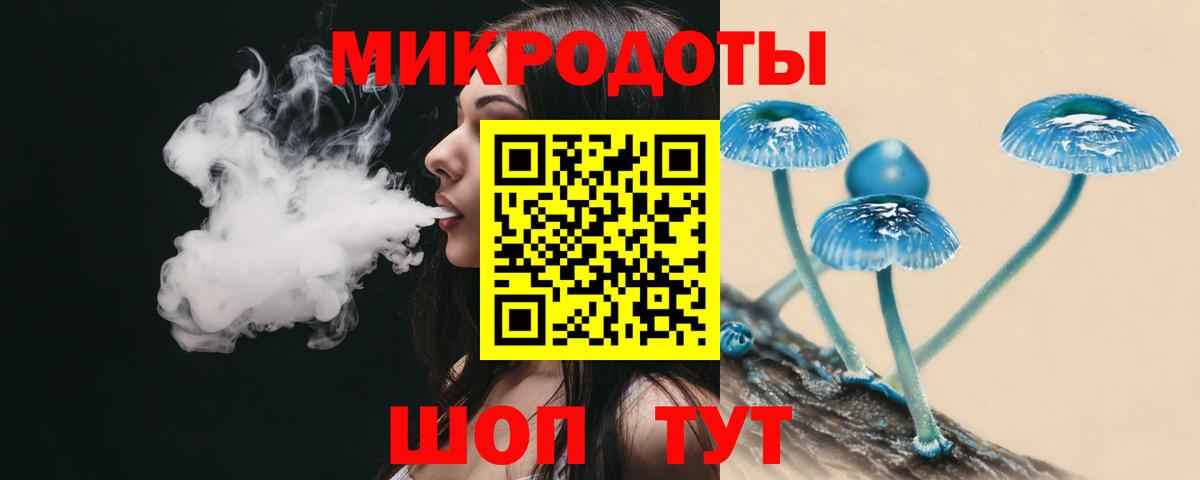 Кизляр  Галлюциногенные грибы мицелий  Галлюциногенные грибы Cubensis  Вход с VPN 